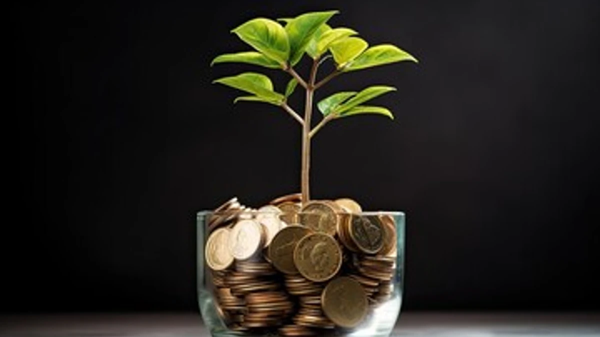 Alternative financing: everything you need to know from A to Z